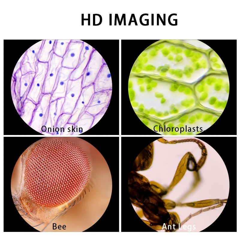 540519011